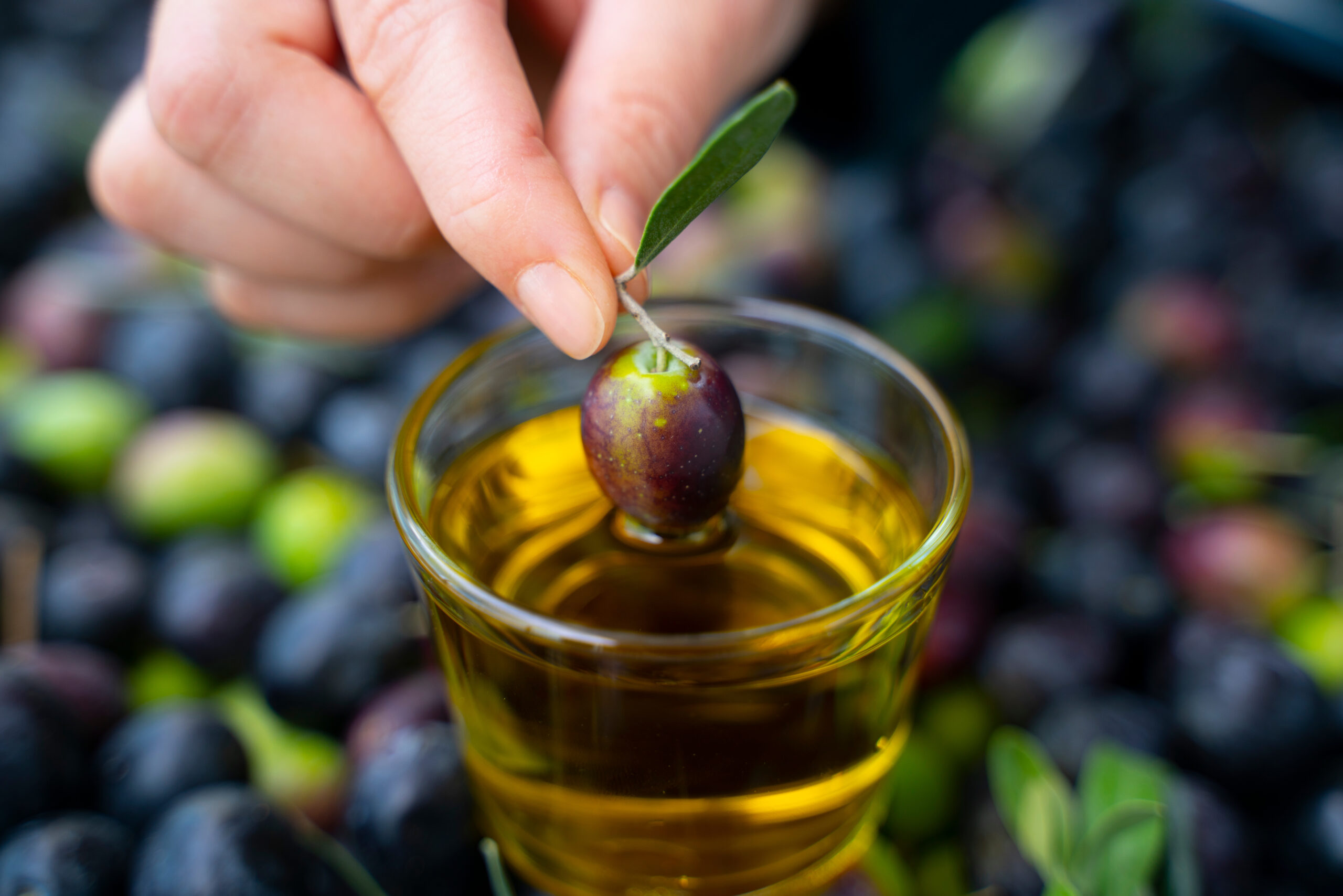 Mituri demontate despre uleiul de măsline